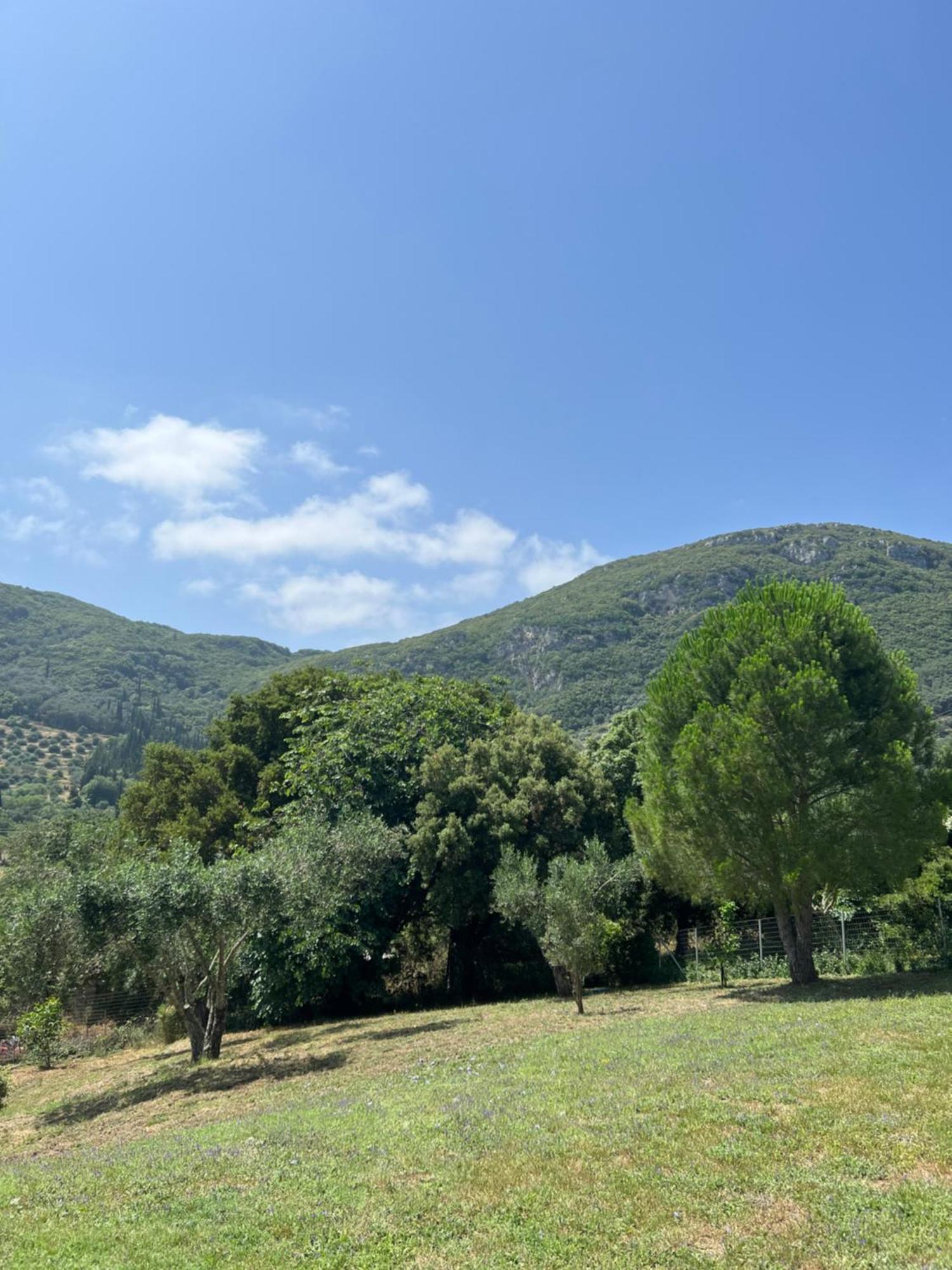 Villa Alexakis Doukades Exterior photo